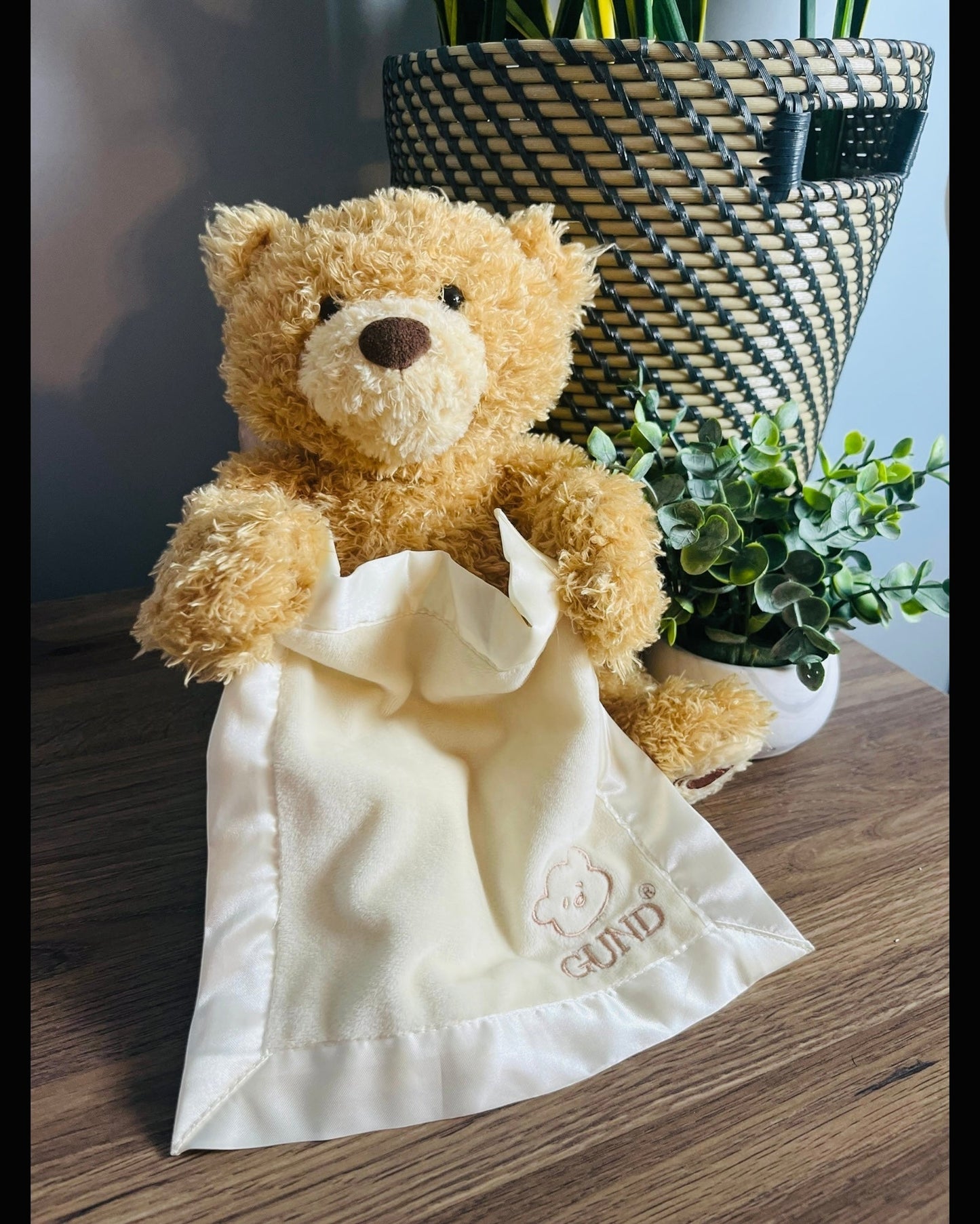 Seller #213 EUC Peek-A-Boo Teddy Bear Plush, Animated Stuffed Animal