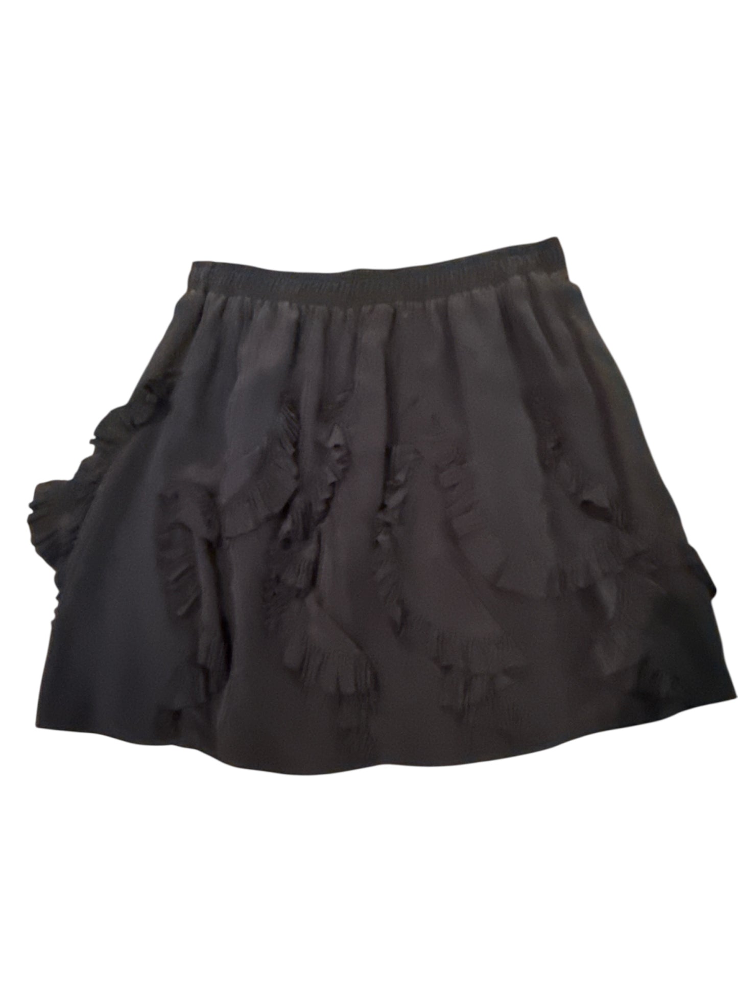 208 women’s Rebecca Taylor’s size 4 skirt