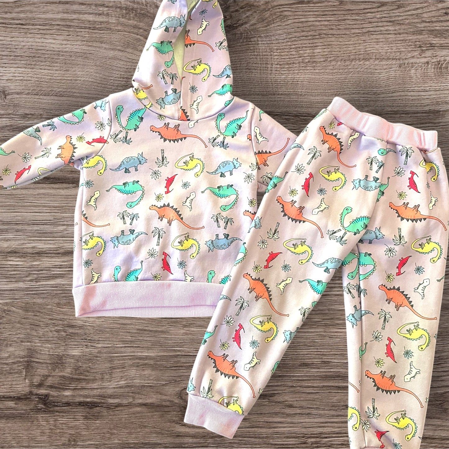 #169 Girl's 4T Dinosaur Outfit