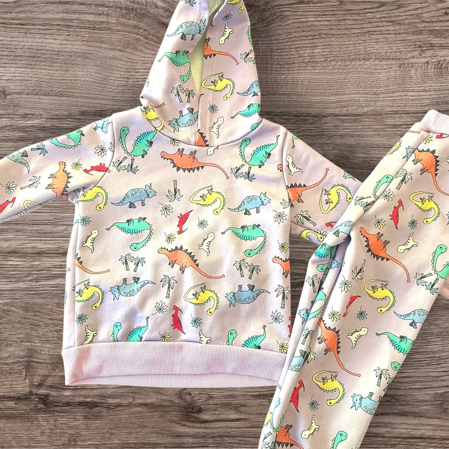#169 Girl's 4T Dinosaur Outfit