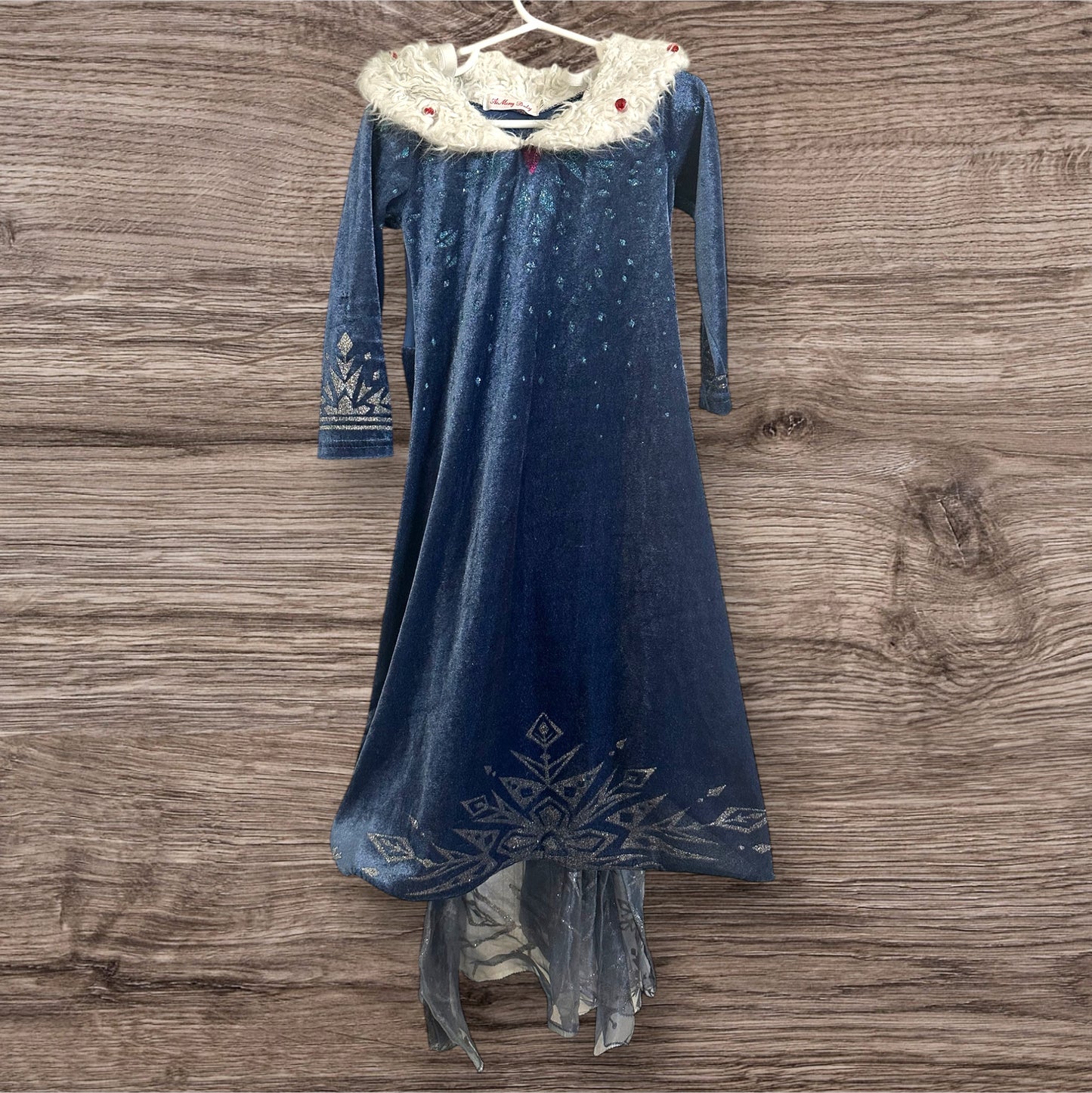 #169 Girl's 4T Elsa Dress