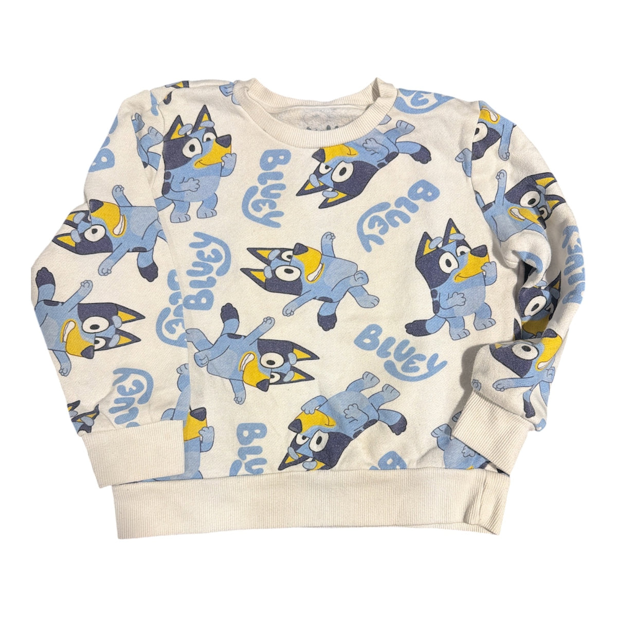 77 - sz 6 Bluey Sweatshirt