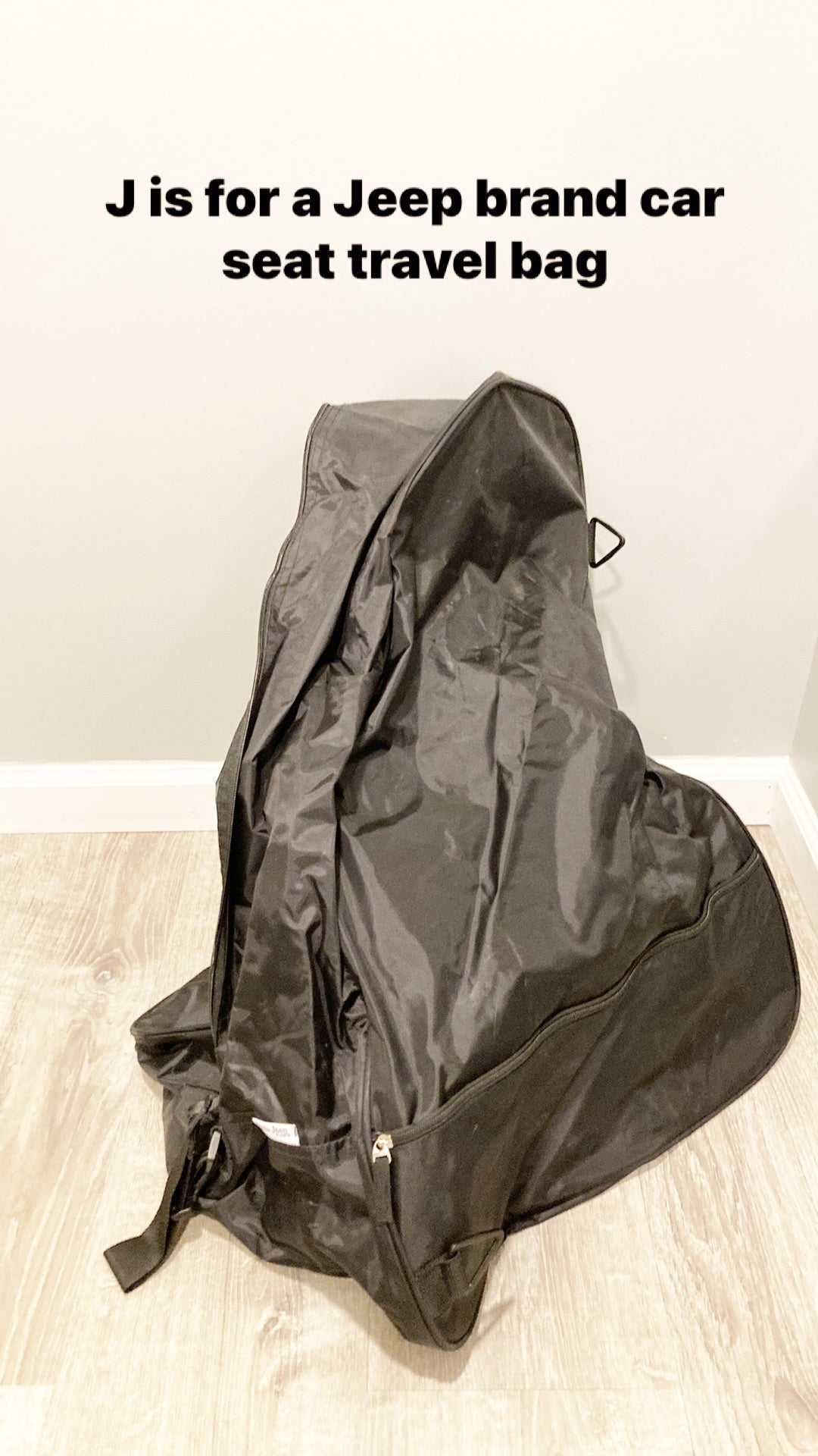 #99-Car Seat Travel Bag
