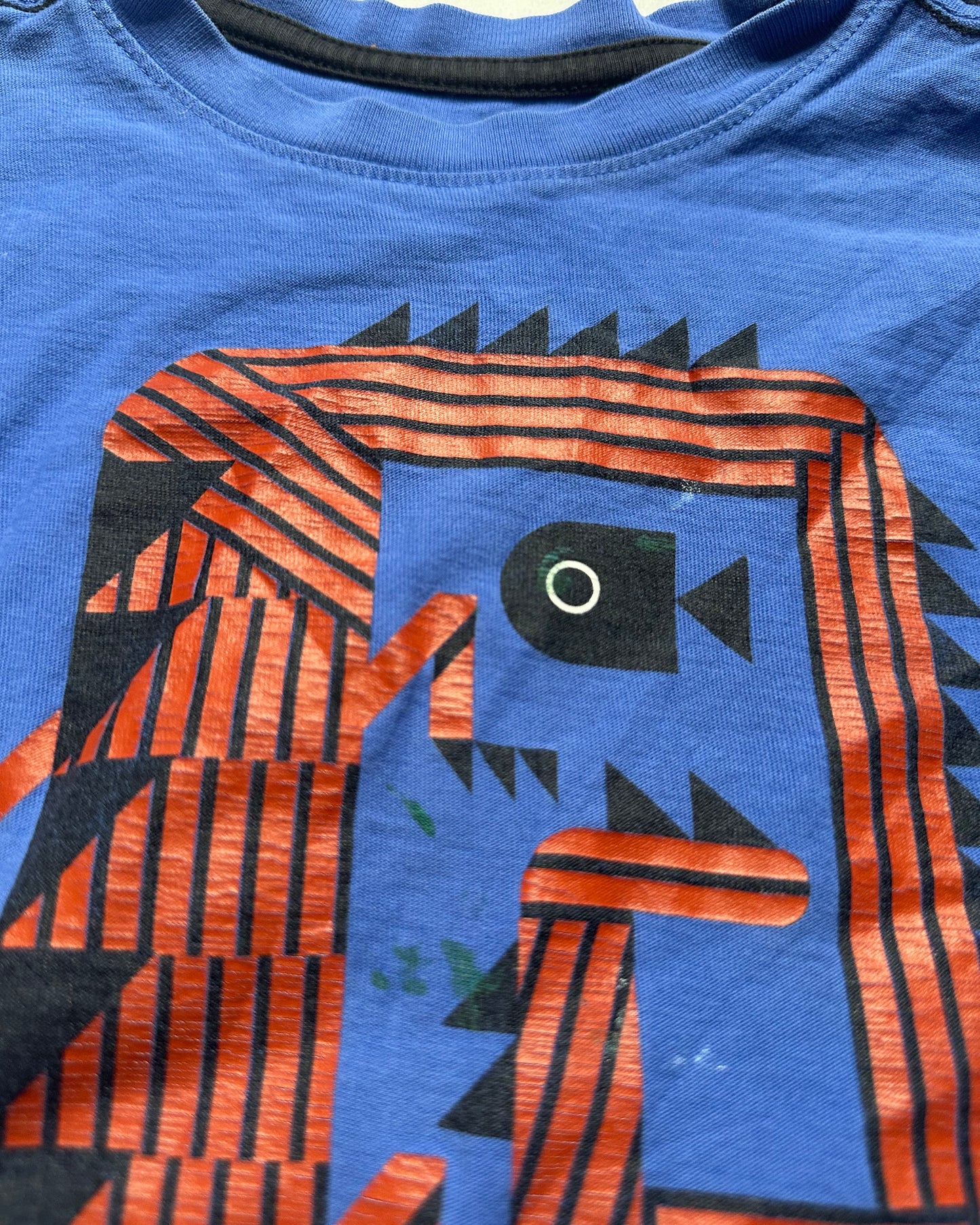 #56 Tea dragon blue shirt boys 4