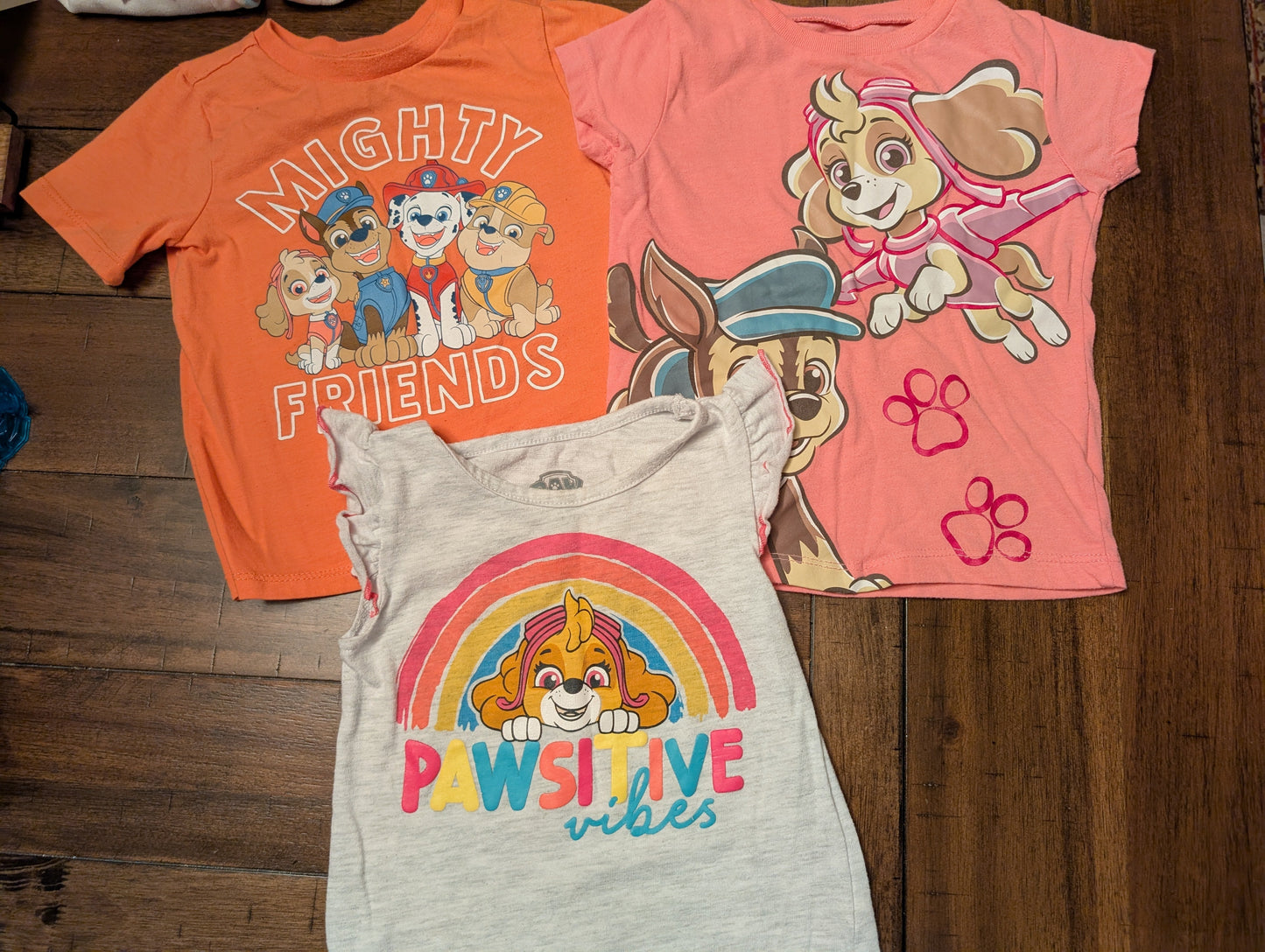 #5 Girls 2T Paw Patrol Bundle