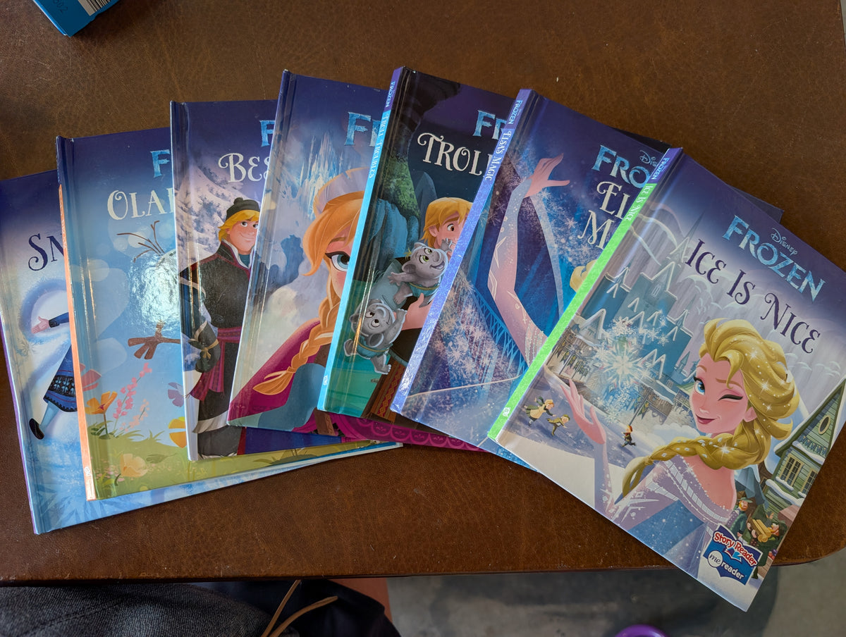 Seller 123 - Disney Frozen Book Bundle