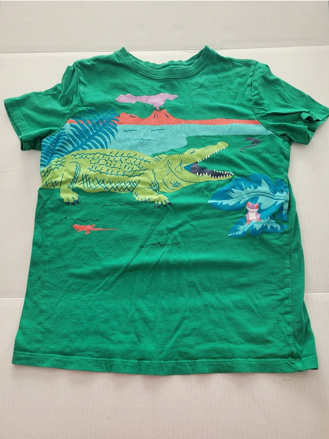 #71 Hanna Andersson Boy's Alligator Tee Size 150/12