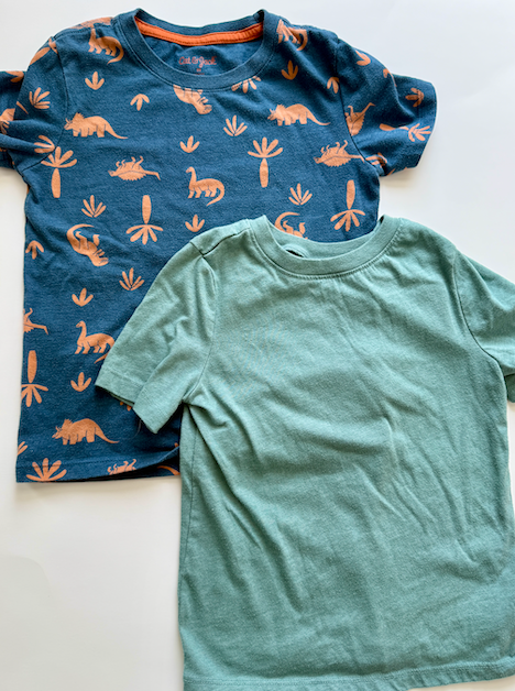 Seller #165 - Boys 5T T-shirt Bundle