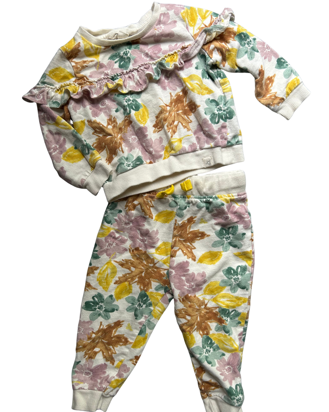 Seller #134 Burt's Bees Sweatsuit Outfit Girls 6-9 Months
