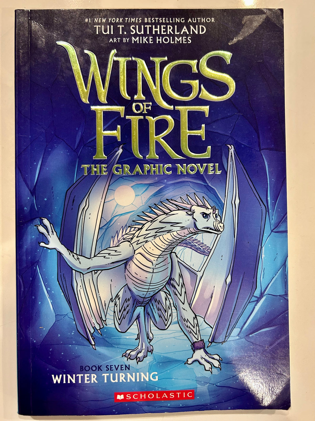 #32 Wings of Fire Graphic Novel Book 7