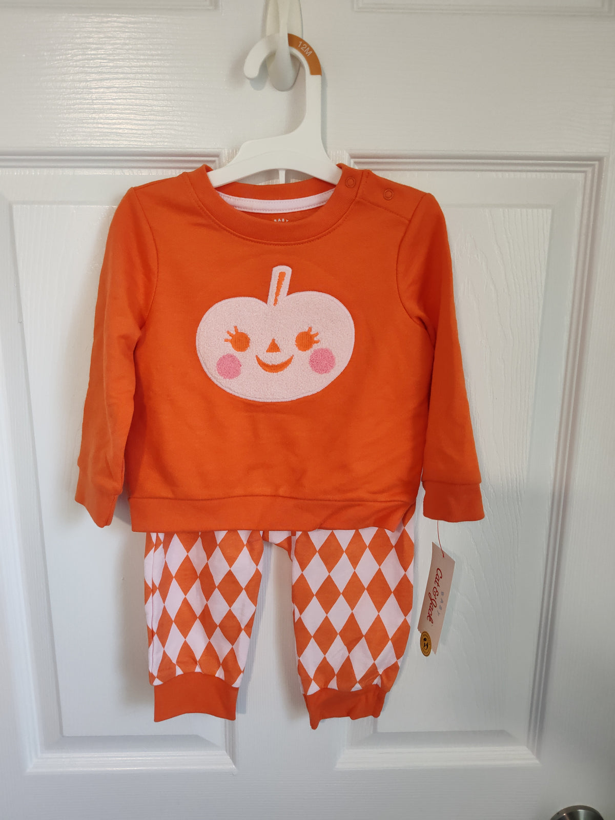 Seller 189: New Cat n Jack girls outfit size 12 months