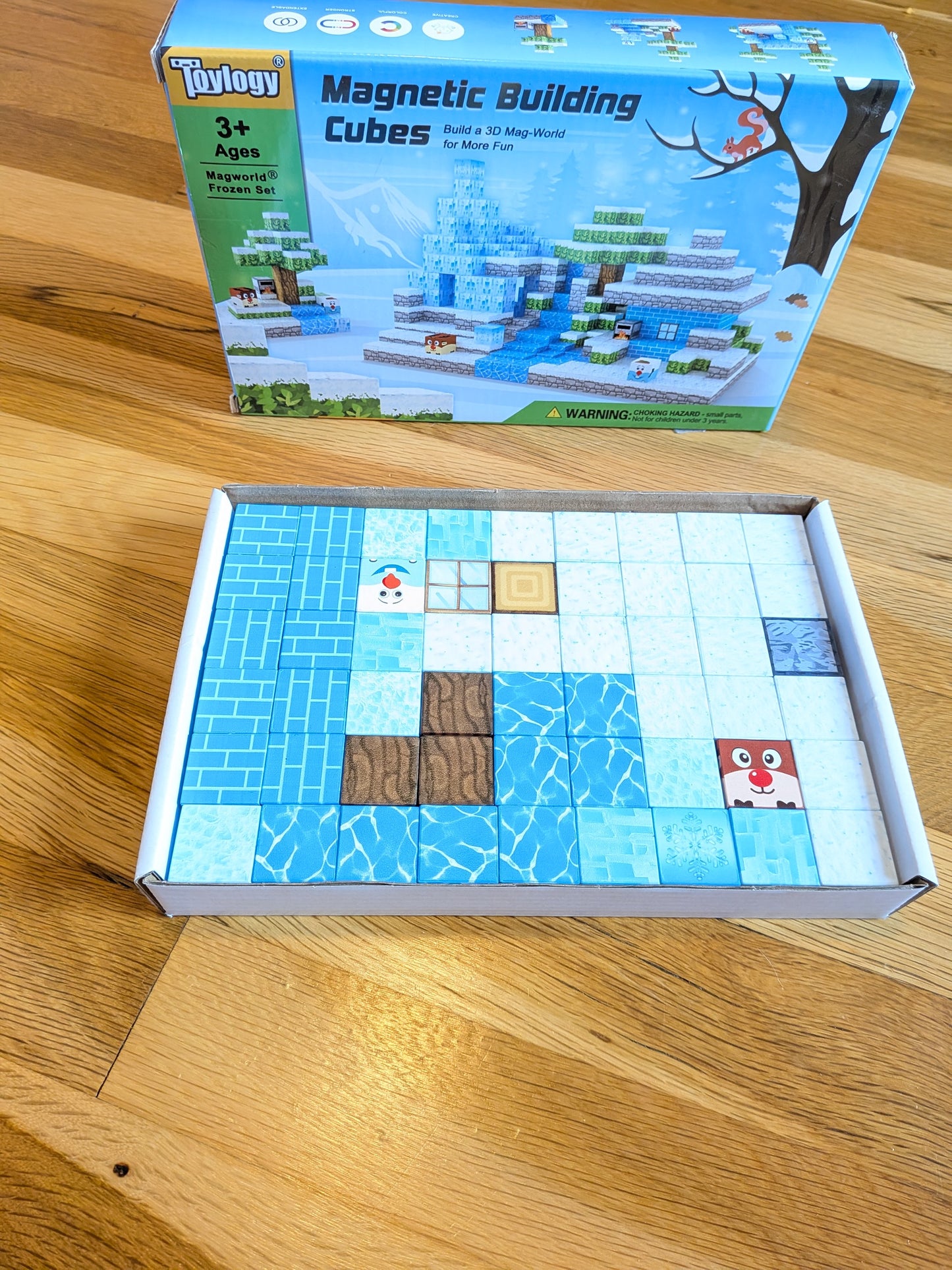#99 Toyology Magnetic Blocks Frozen (3 of 3)
