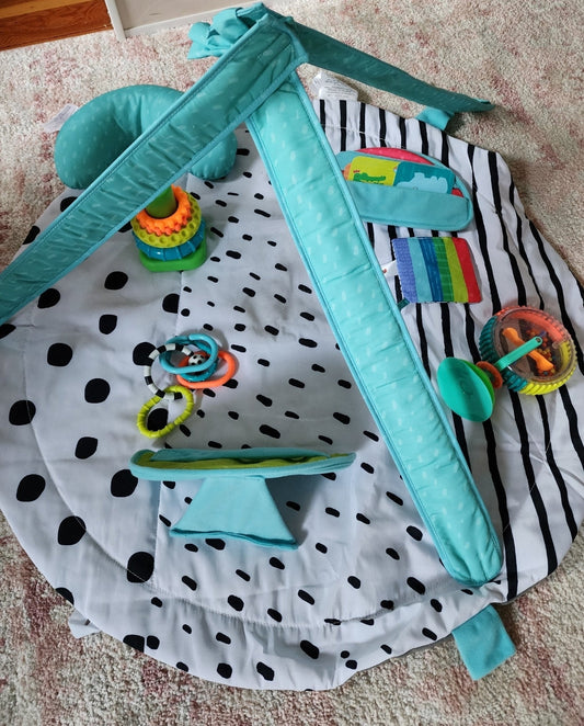 #178 Sassy Play Gym