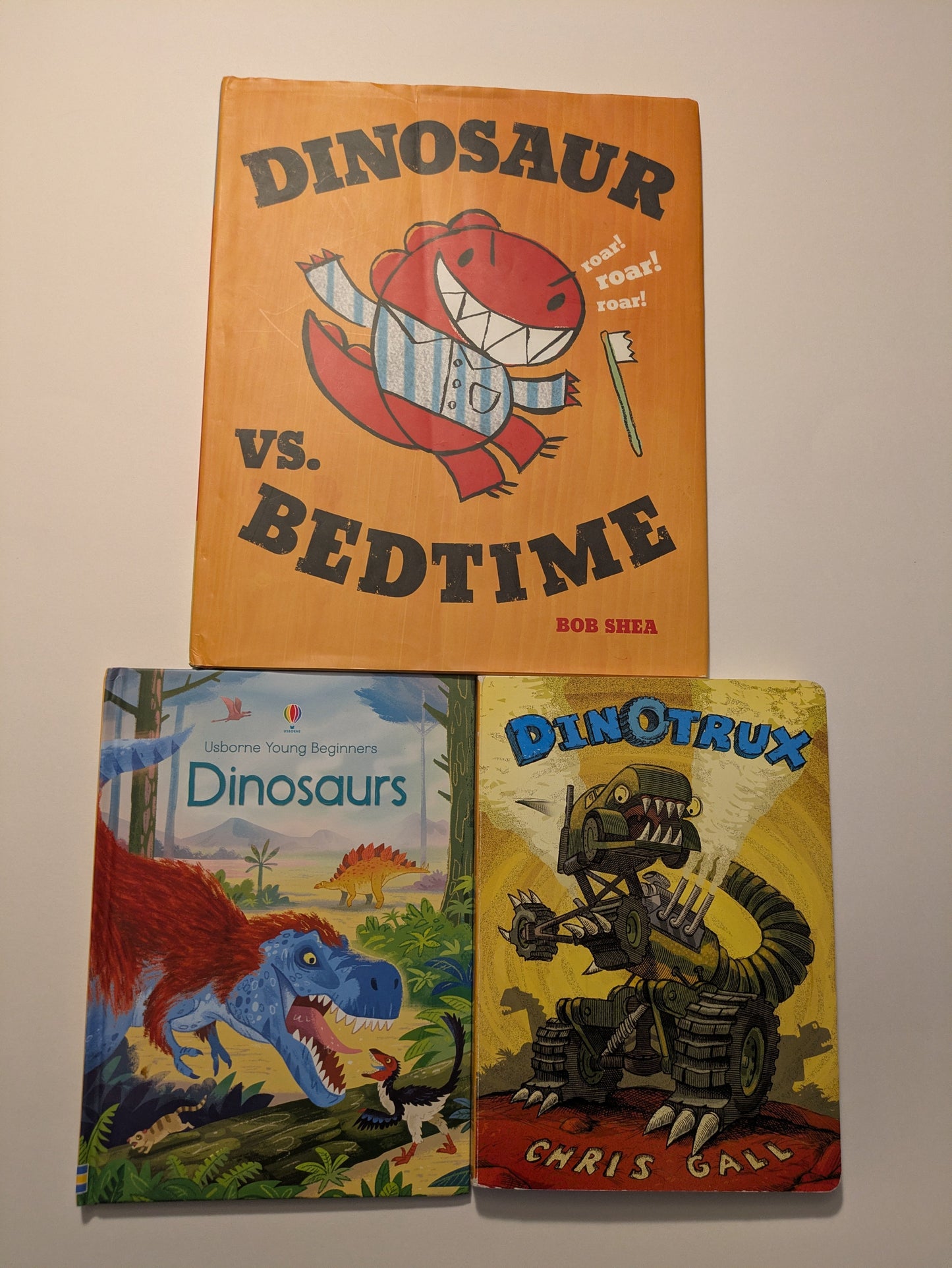 #94 Dino Lovers Book Bundle *REDUCED*