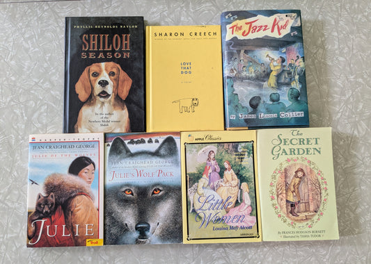 #61 Middle School Chapter Books