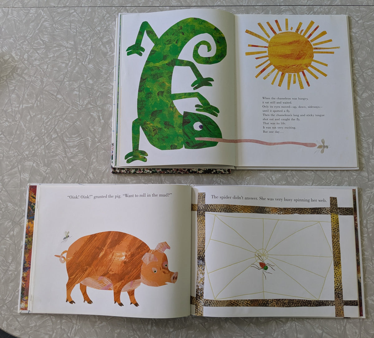 #61 Eric Carle Hardcover Set - Chameleon, Hermit Crab, Spider