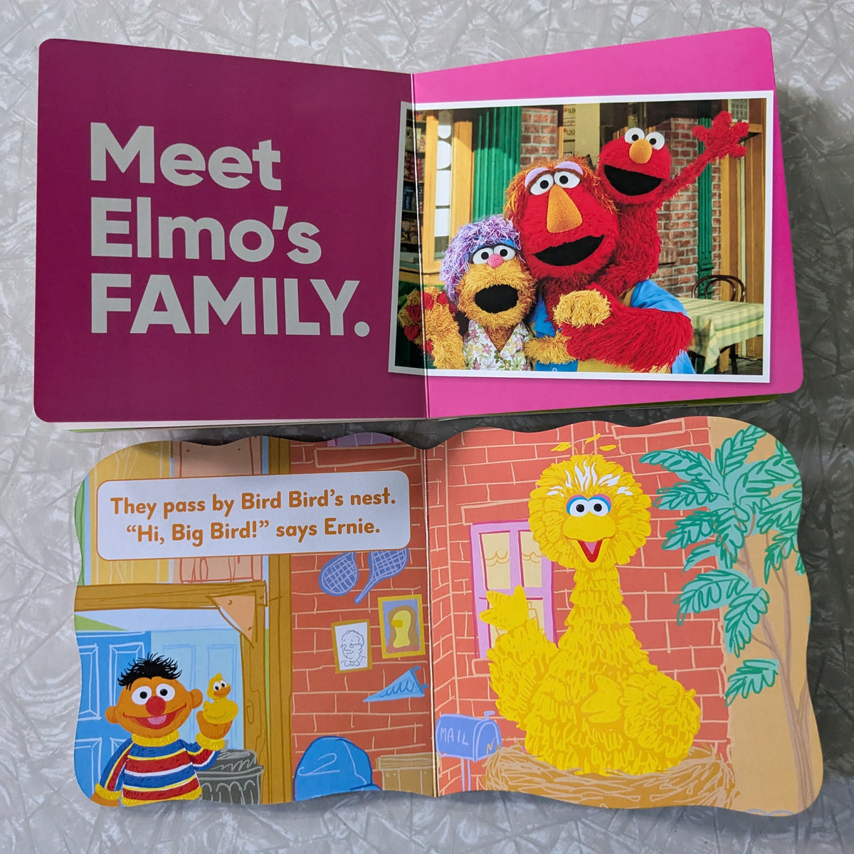 #61 Sesame Street Board Books - Elmo & Rubber Ducky