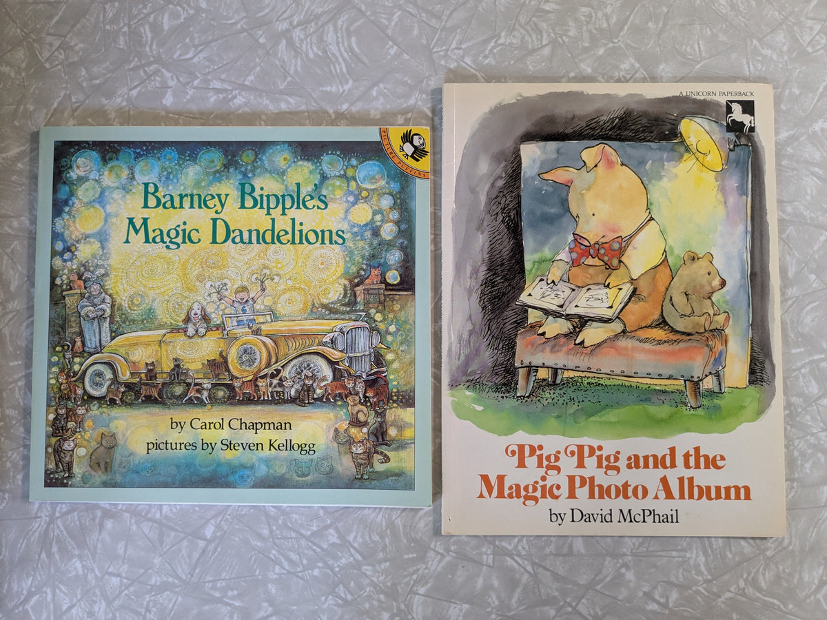 #61 Paperback Magic Picture Books - Dandelions & Photo Album