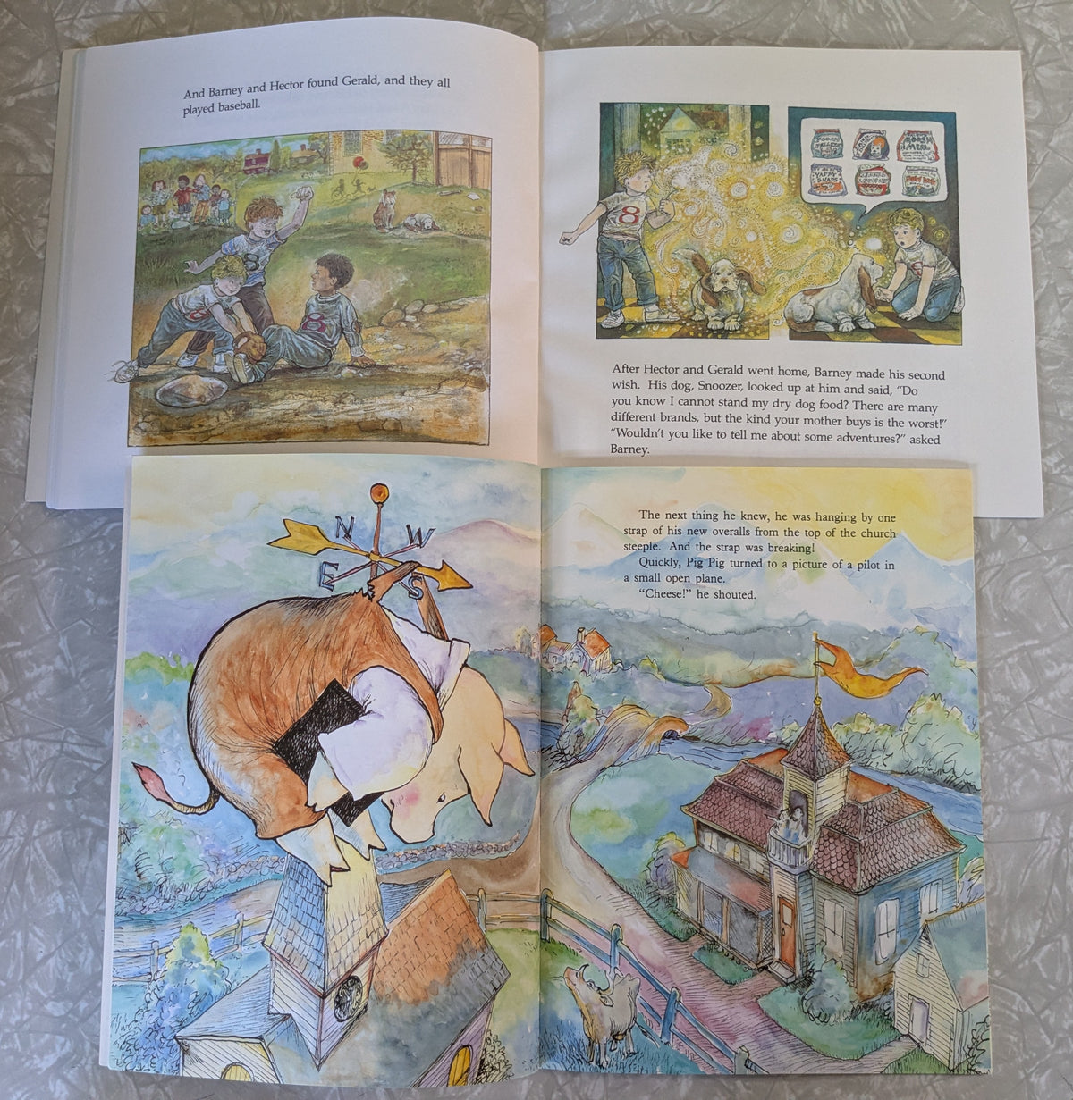 #61 Paperback Magic Picture Books - Dandelions & Photo Album
