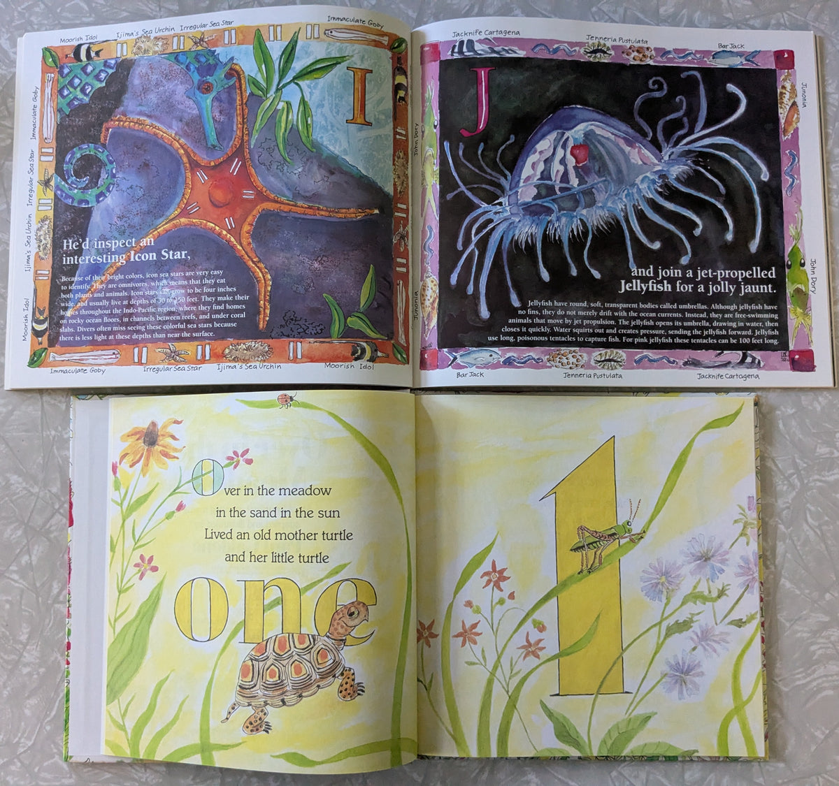 #61 Bundle of 7 Picture Books