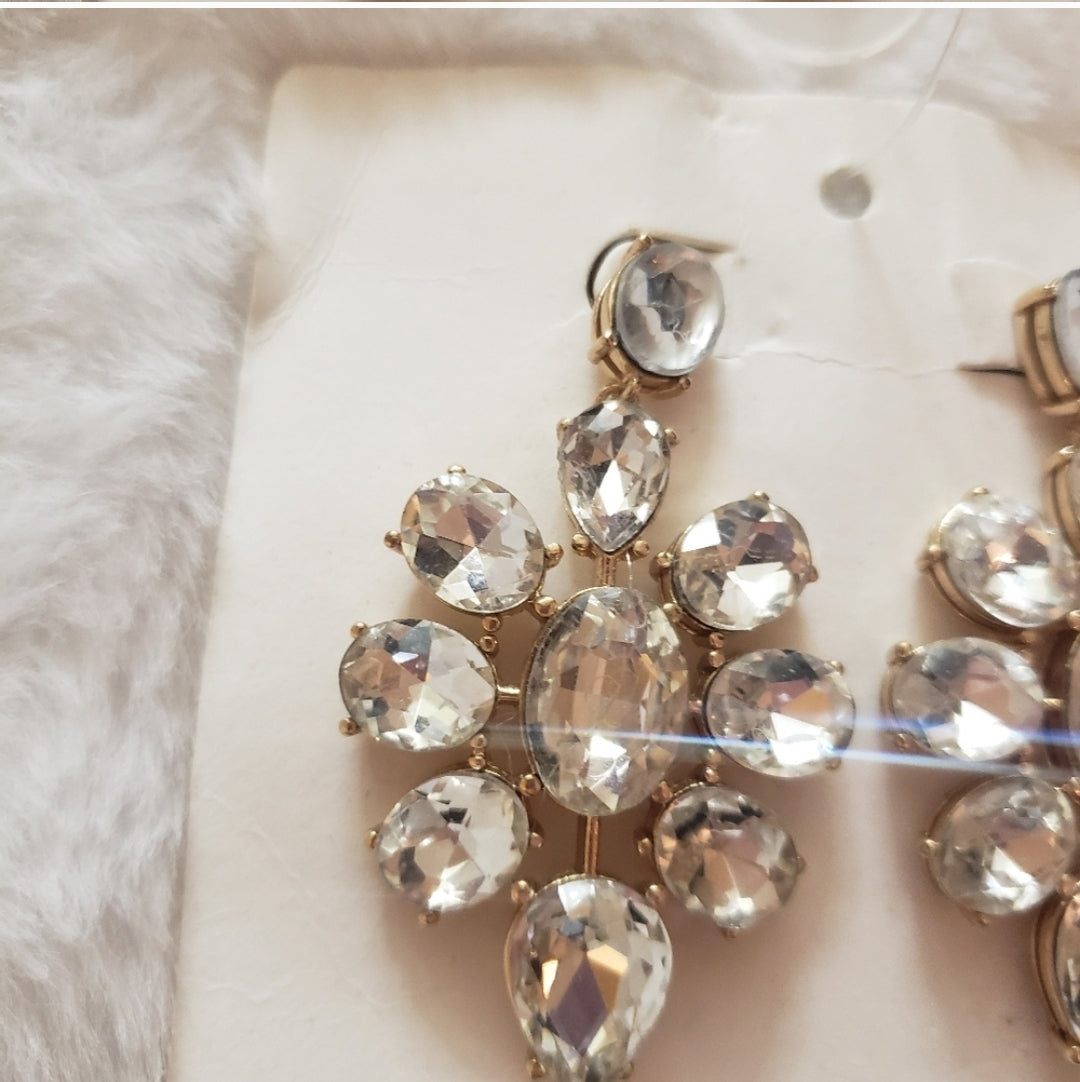 #49 NWT Banana Republic Crystal Statement Earrings