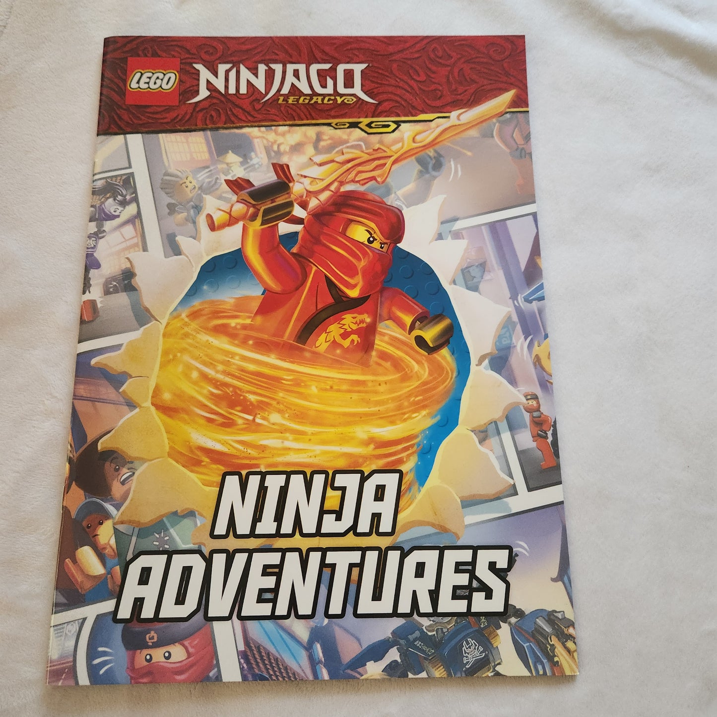 #49 Lego Ninjago Book Lot of 5