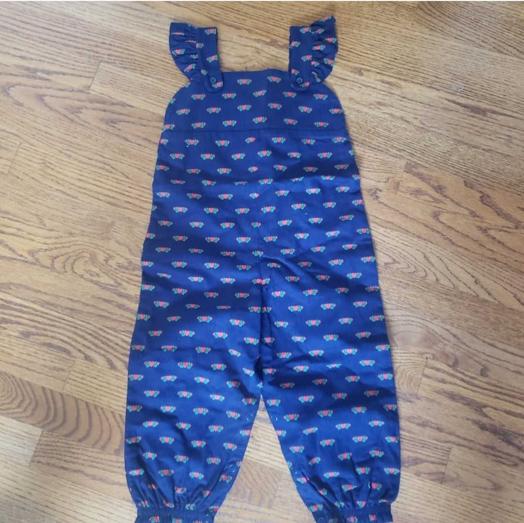 NWT TBBC 3T Violets Vintage Heart Overalls