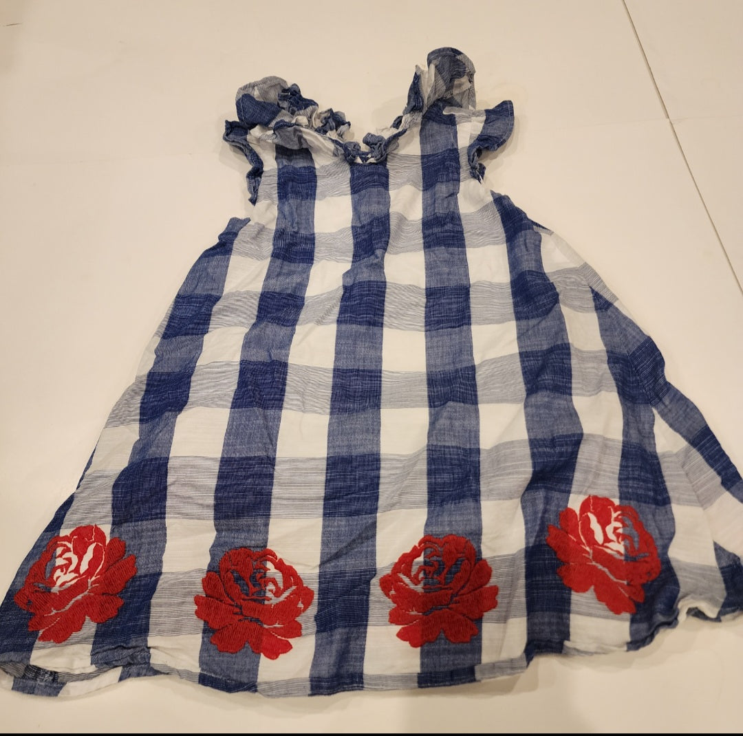 #135 Girls Size 3 Janie & Jack embroidered dress