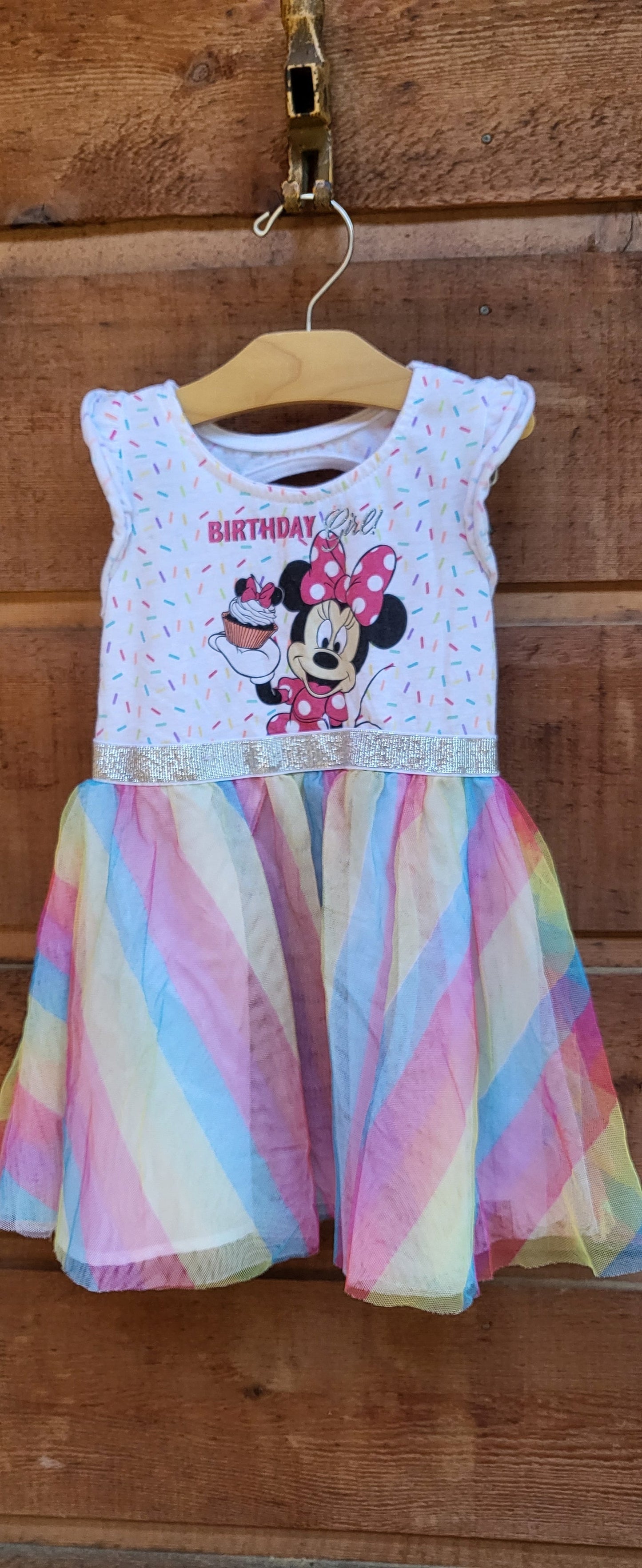 REDUCED: #9--- Girls 4T. Disney Minnie Mouse birthday dress