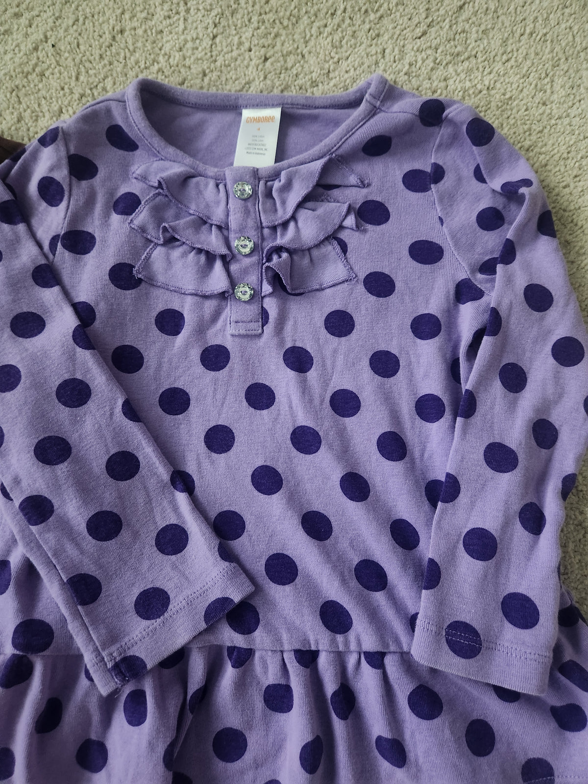 #167 Gymboree 4T Long Sleeve Tee Bundle of 2