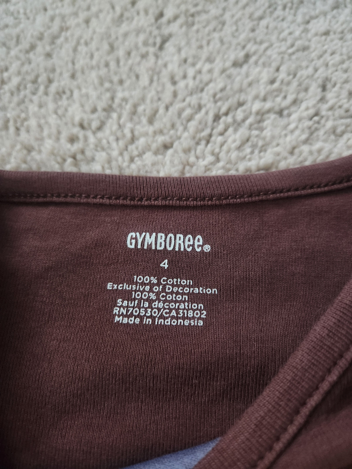 #167 Gymboree 4T Long Sleeve Tee Bundle of 2