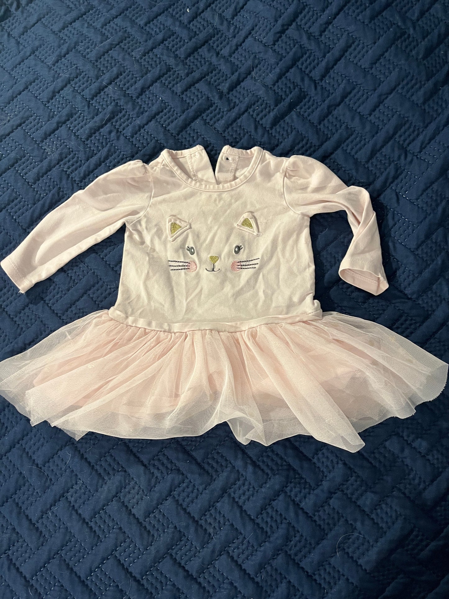 #211 12m Cat Tutu Dress