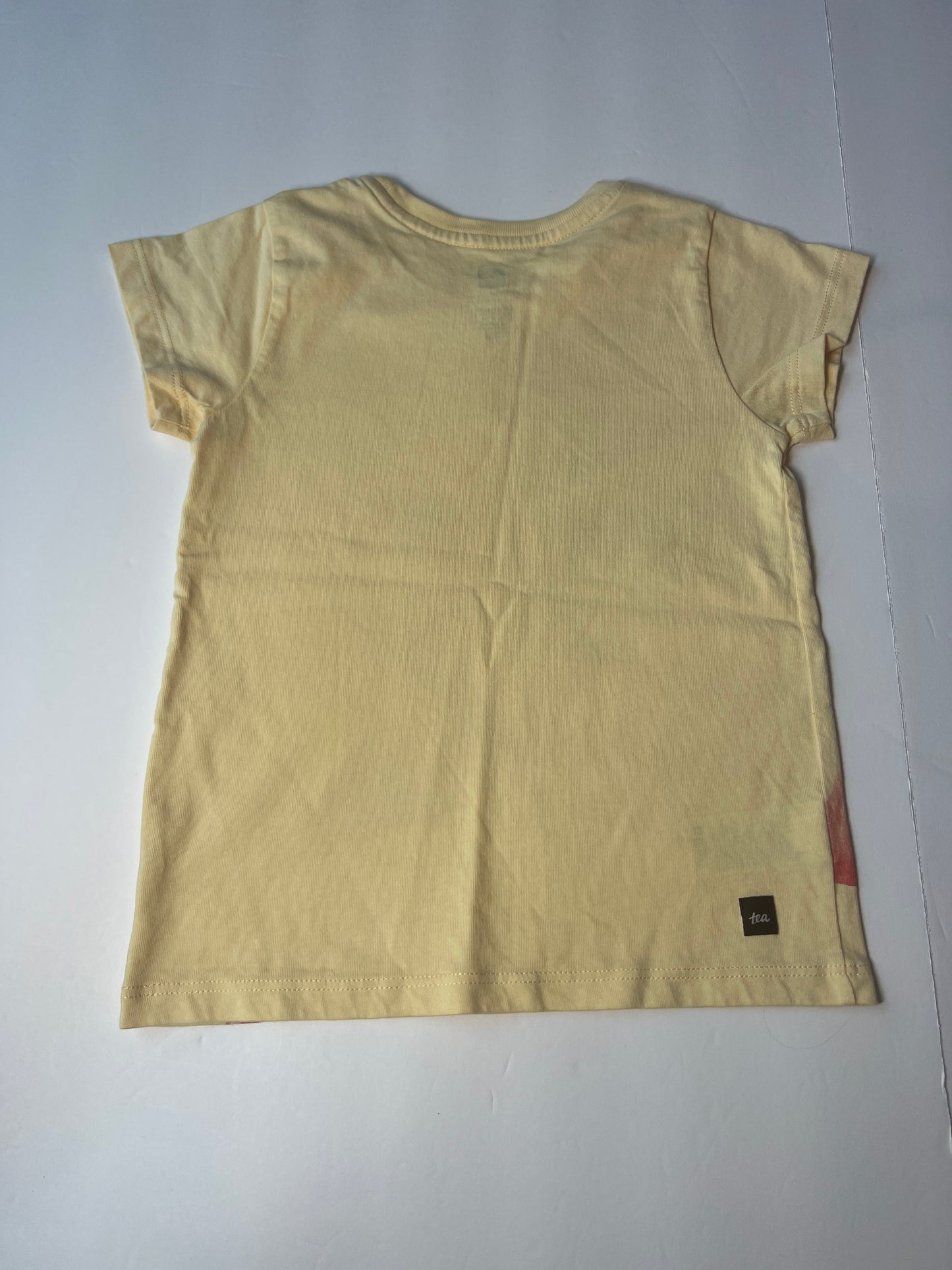 #180 Girls 4T Tea Flamingo Short Sleeve