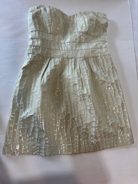 #78 women's 12 NWT American Eagle strapless dress