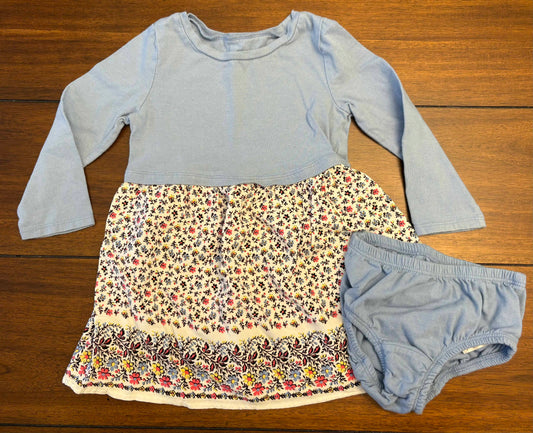 Seller #210 Baby Gap Girls Size 2 Blue Long Sleeve Flowered Dress with Diaper Cover