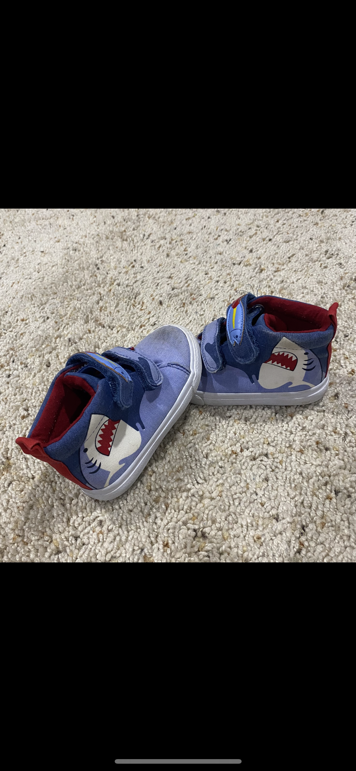 Toddler size 7 shark shoes