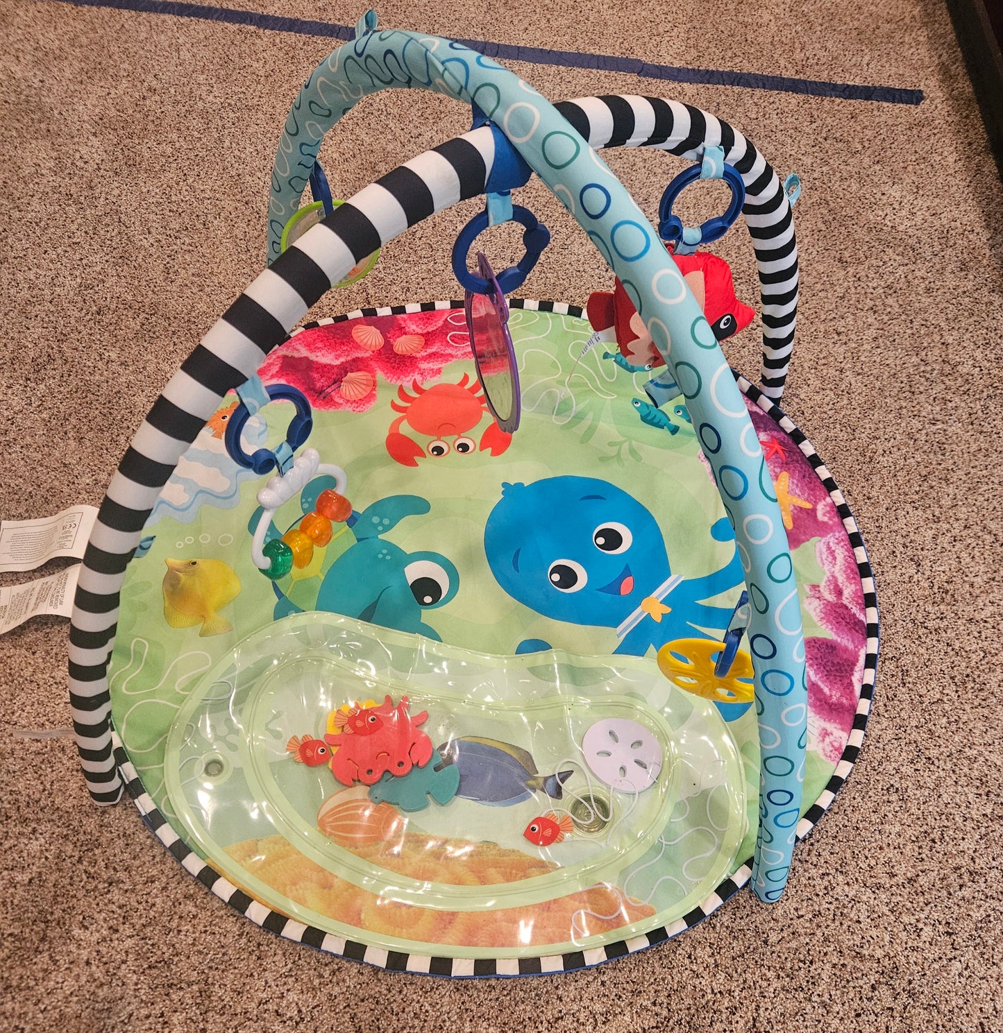 Seller #102 - Baby Einstein Play Mat