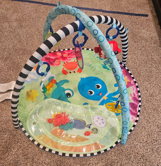 Seller #102 - Baby Einstein Play Mat