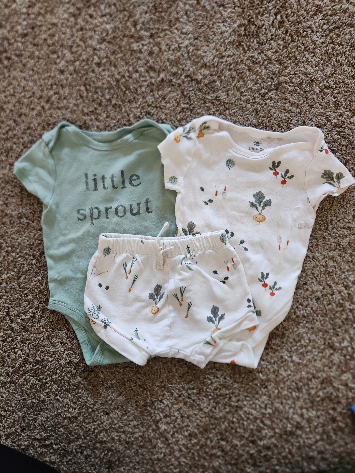 Little Sprout Set - 12M