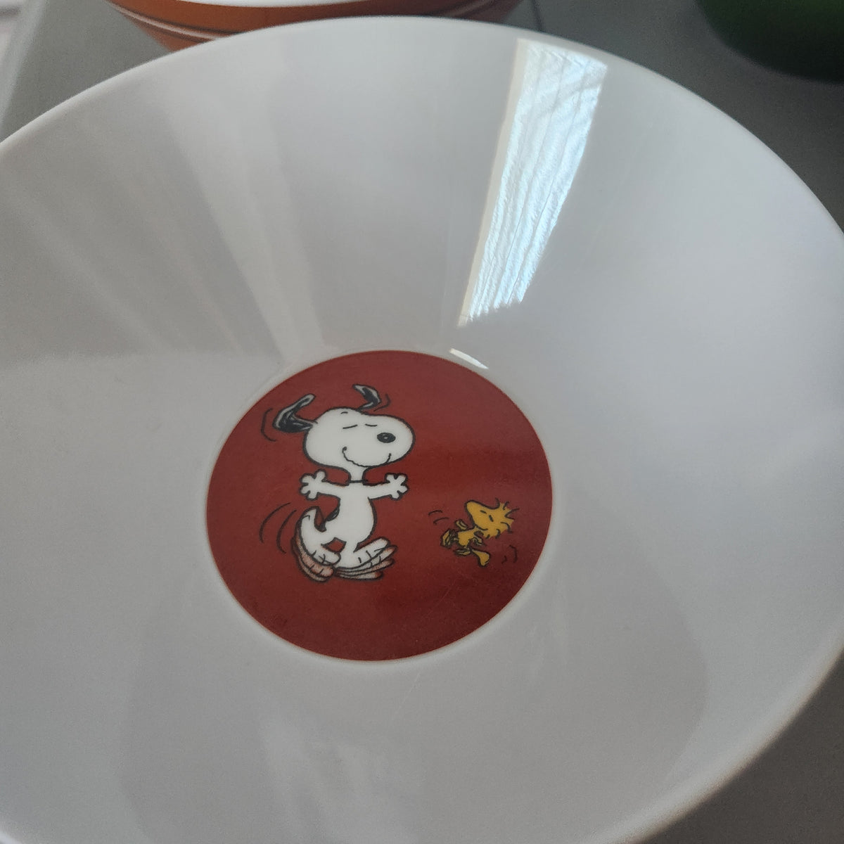 #167 Pottery Barn Kids x Peanuts Thanksgiving Snoopy 4 Bowls