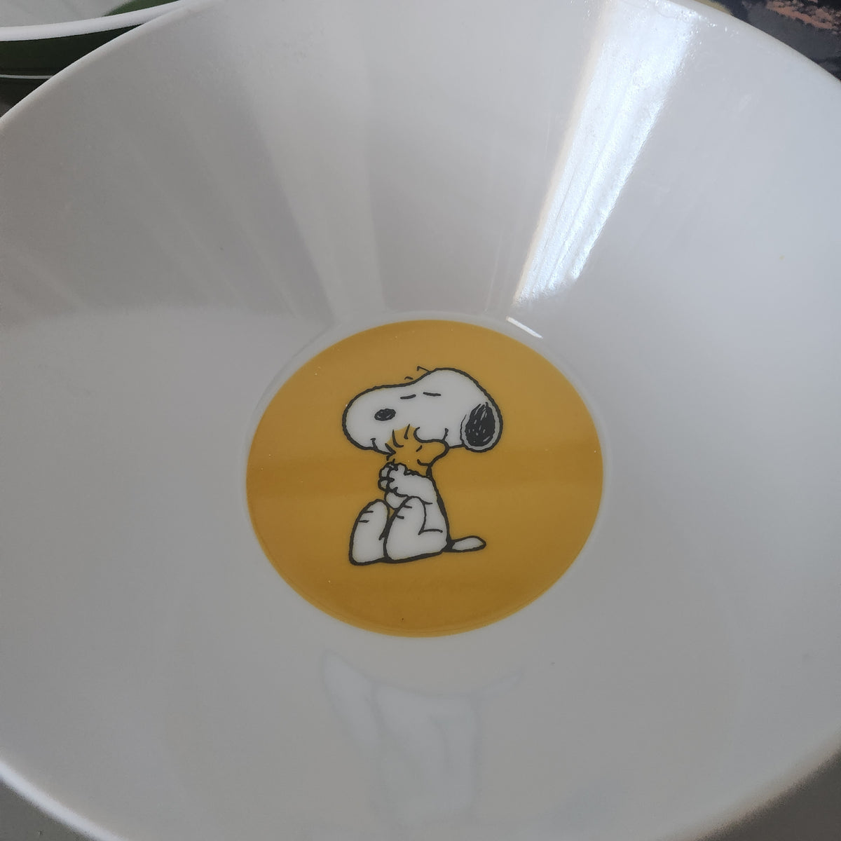 #167 Pottery Barn Kids x Peanuts Thanksgiving Snoopy 4 Bowls