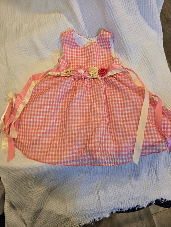 #131 Rare Editions pink and white gingham dress girls size 2T