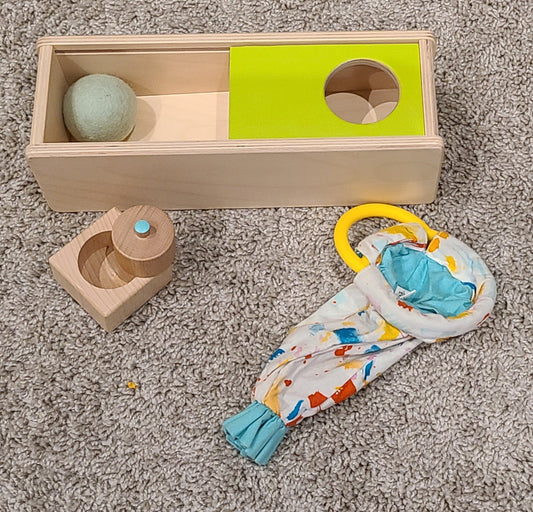 #30 Lovevery Toy Lot from The Thinker Play Kit (Months 11-12)