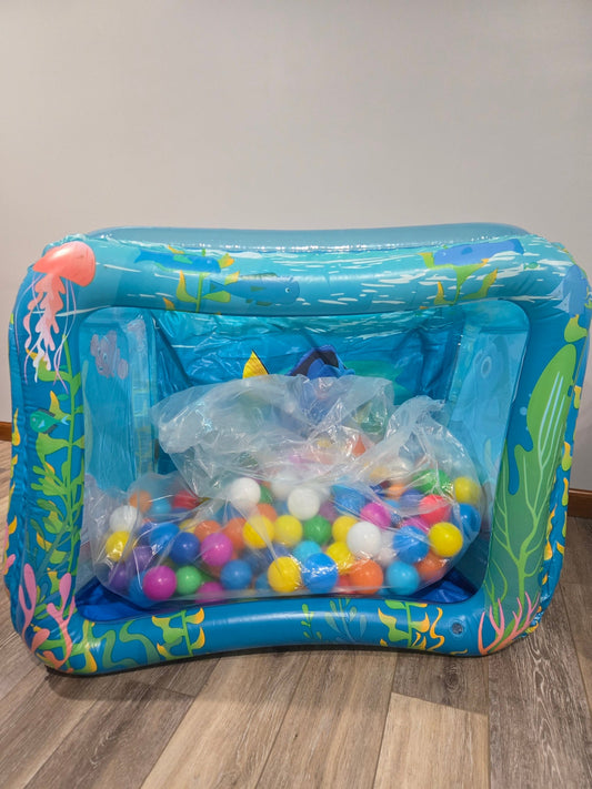 #13 Finding Dory BallPit
