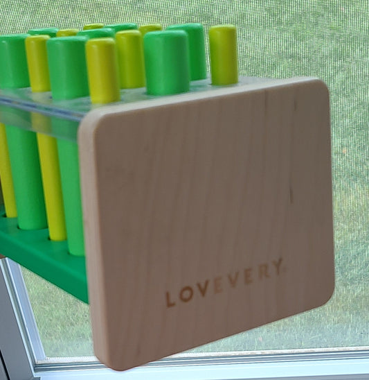 Lovevery Posting Peg Toy