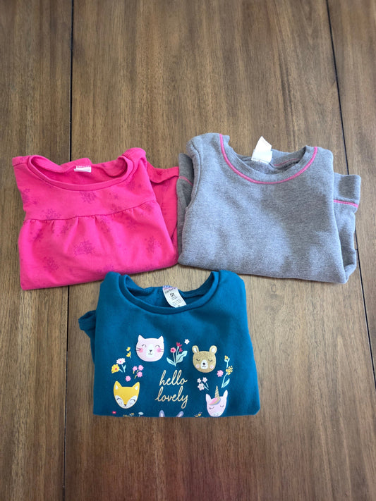 REDUCED Seller 184 girls 5T sweatshirt lot