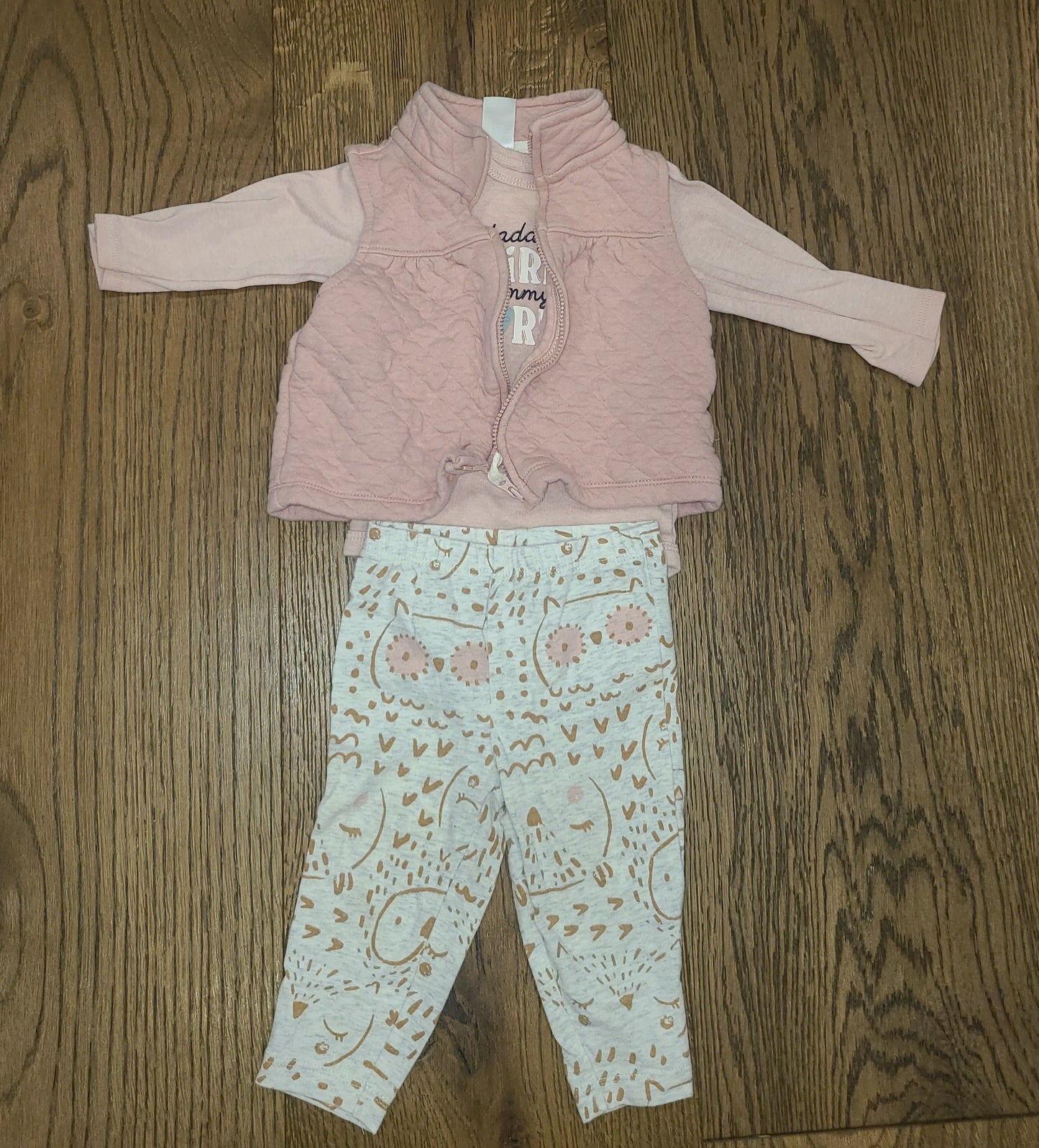 Seller #4 - Carter's 6-9 month girls Vest Outfit