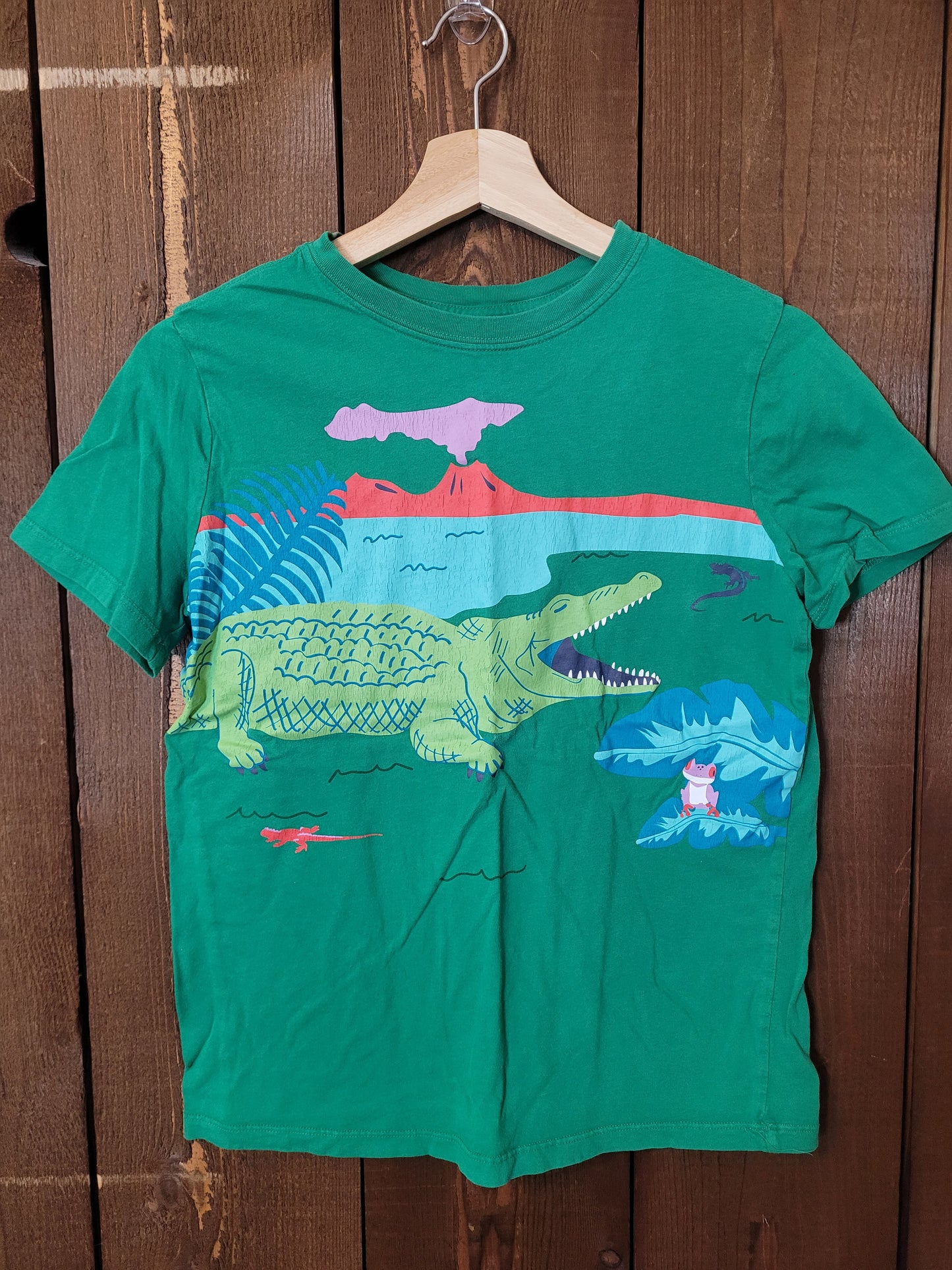 #111 Hanna Andersson Crocodile Tee Boys Size 150/12