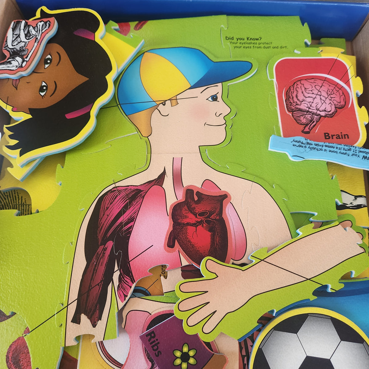 #167 Wonderfoam Giant Our Body Activity Puzzle