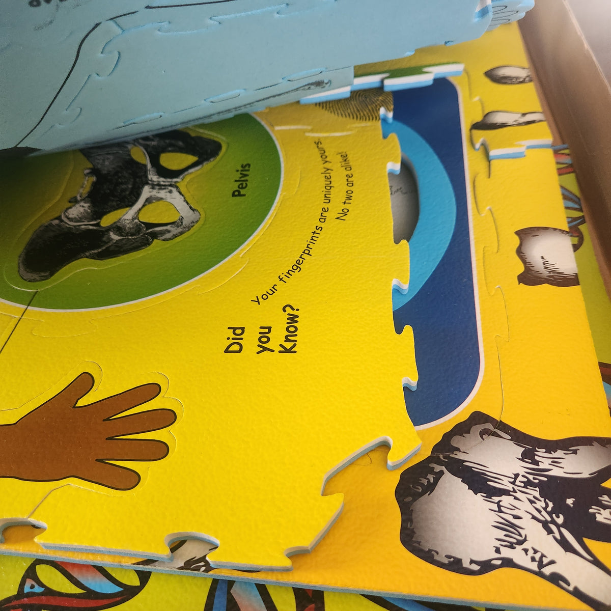 #167 Wonderfoam Giant Our Body Activity Puzzle